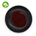 Factory Supply Organic Black Tea Extract/Black Tea Powder